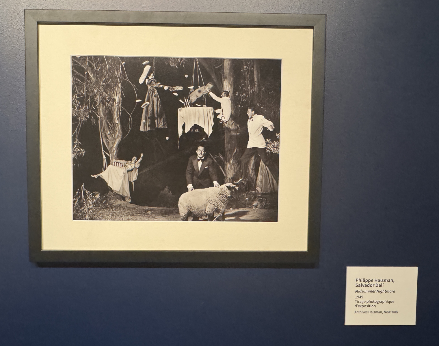 Exposition Salvador Dali – Divines Créatures