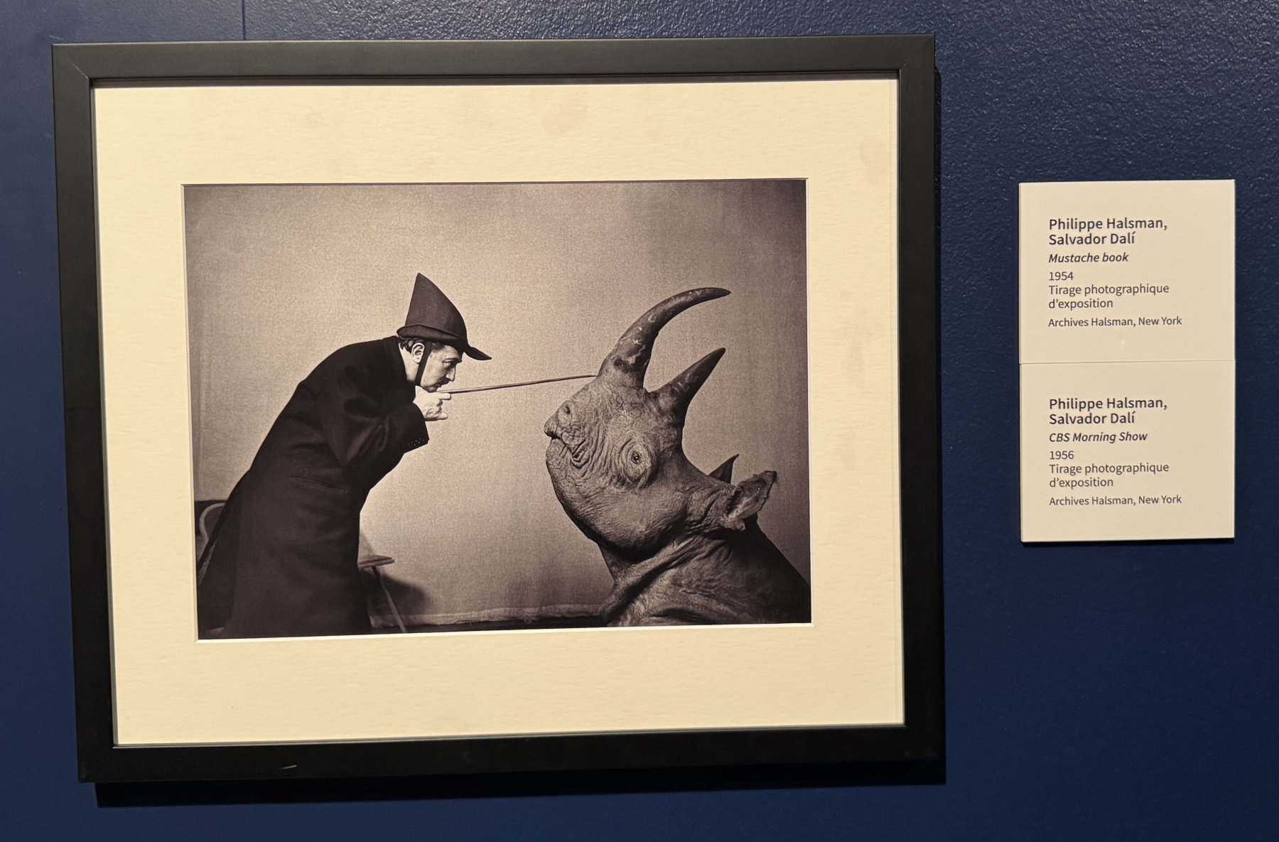 Exposition Salvador Dali – Divines Créatures