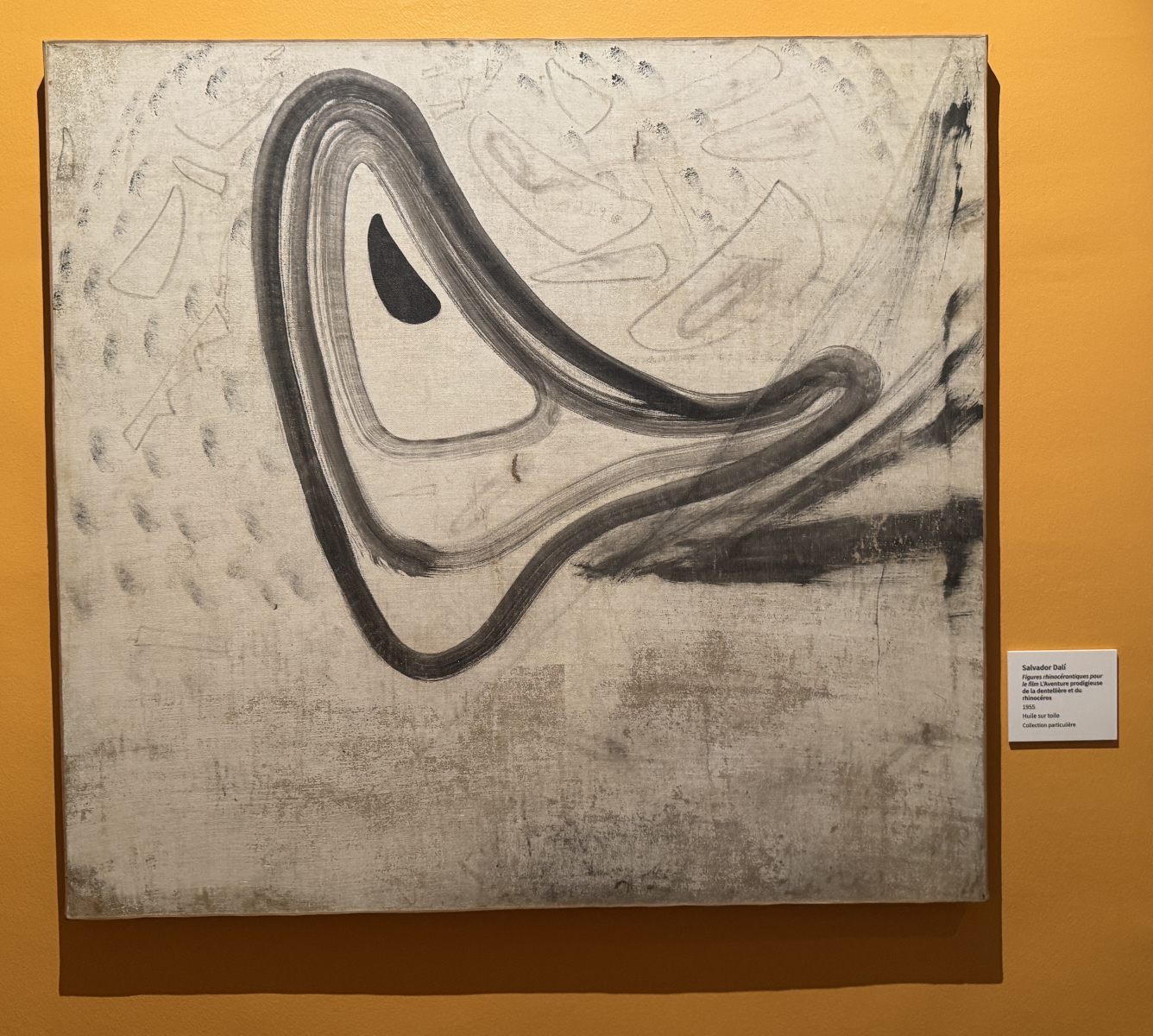 Exposition Salvador Dali – Divines Créatures