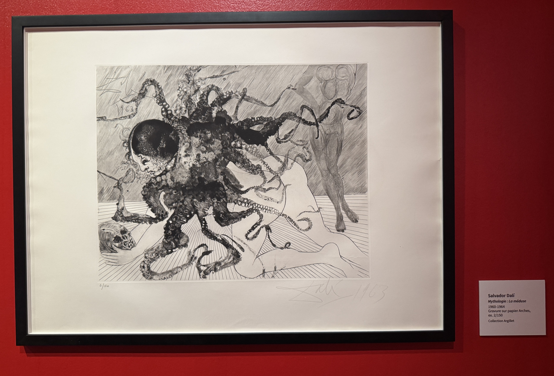 Exposition Salvador Dali – Divines Créatures