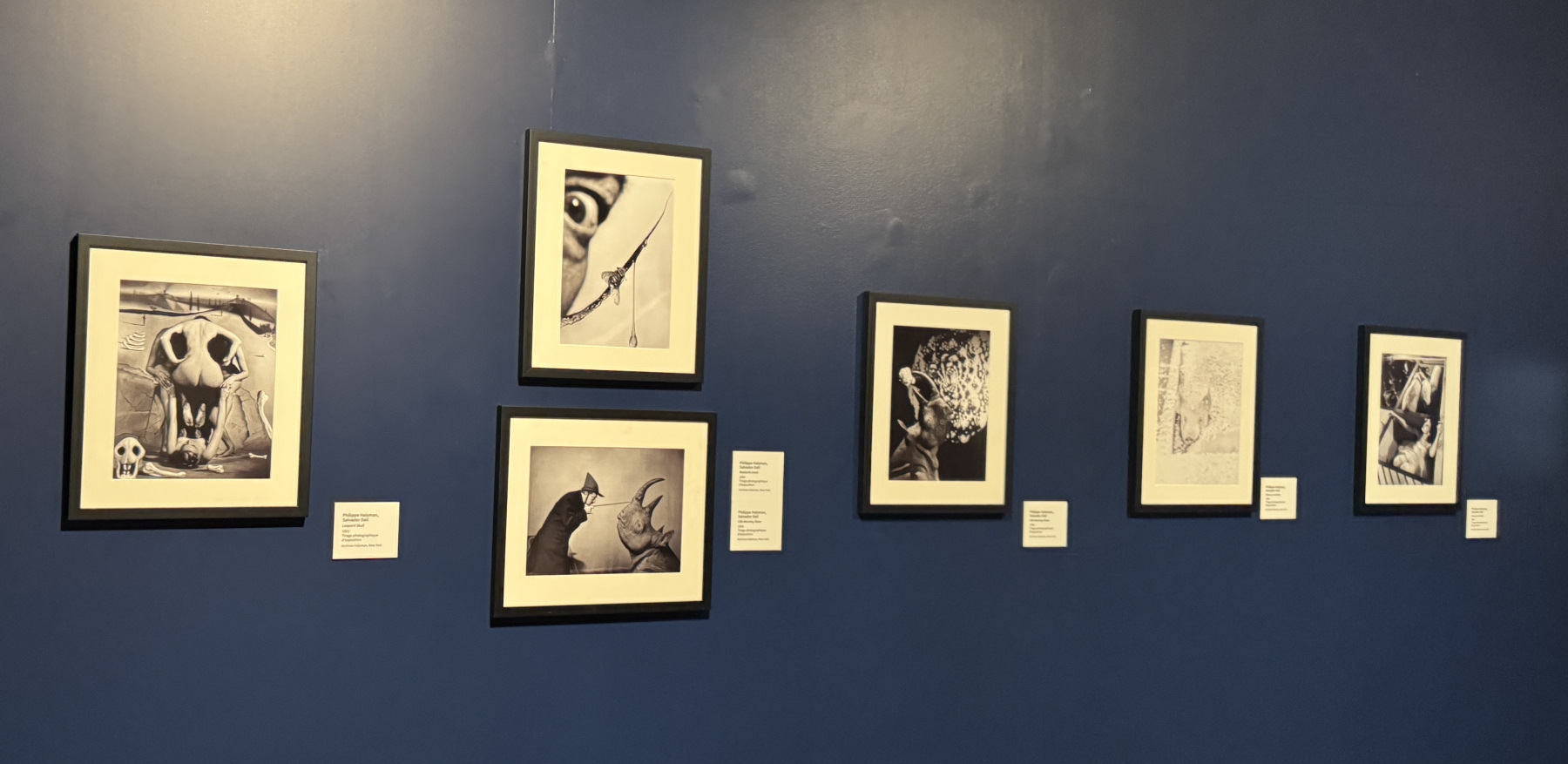 Exposition Dali