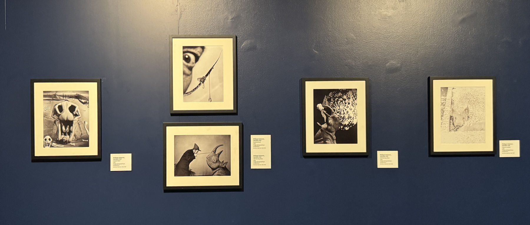 Exposition Salvador Dali – Divines Créatures