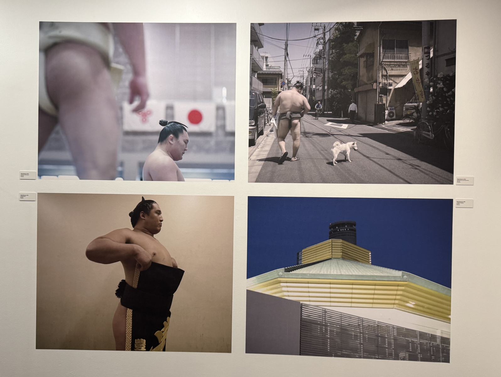 Visite de l'exposition 