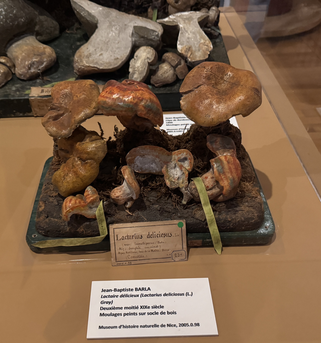 Exposition 
