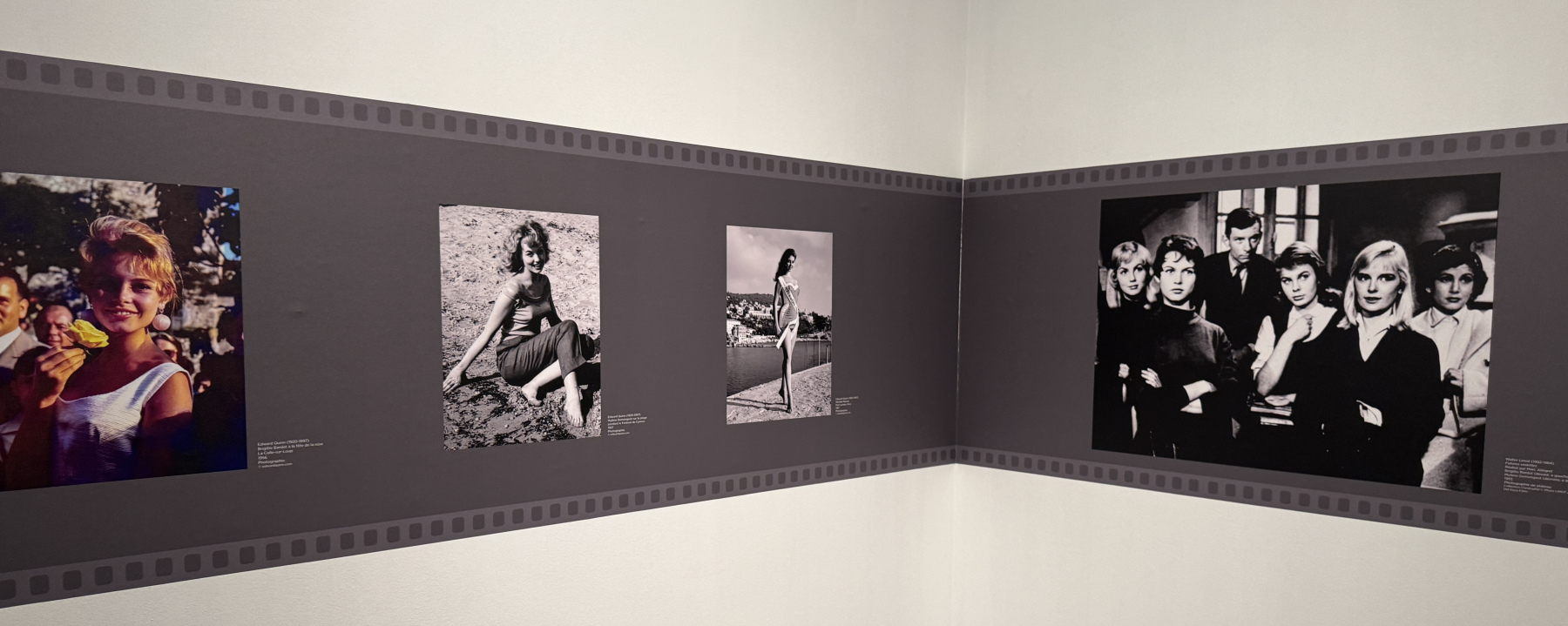 Exposition 