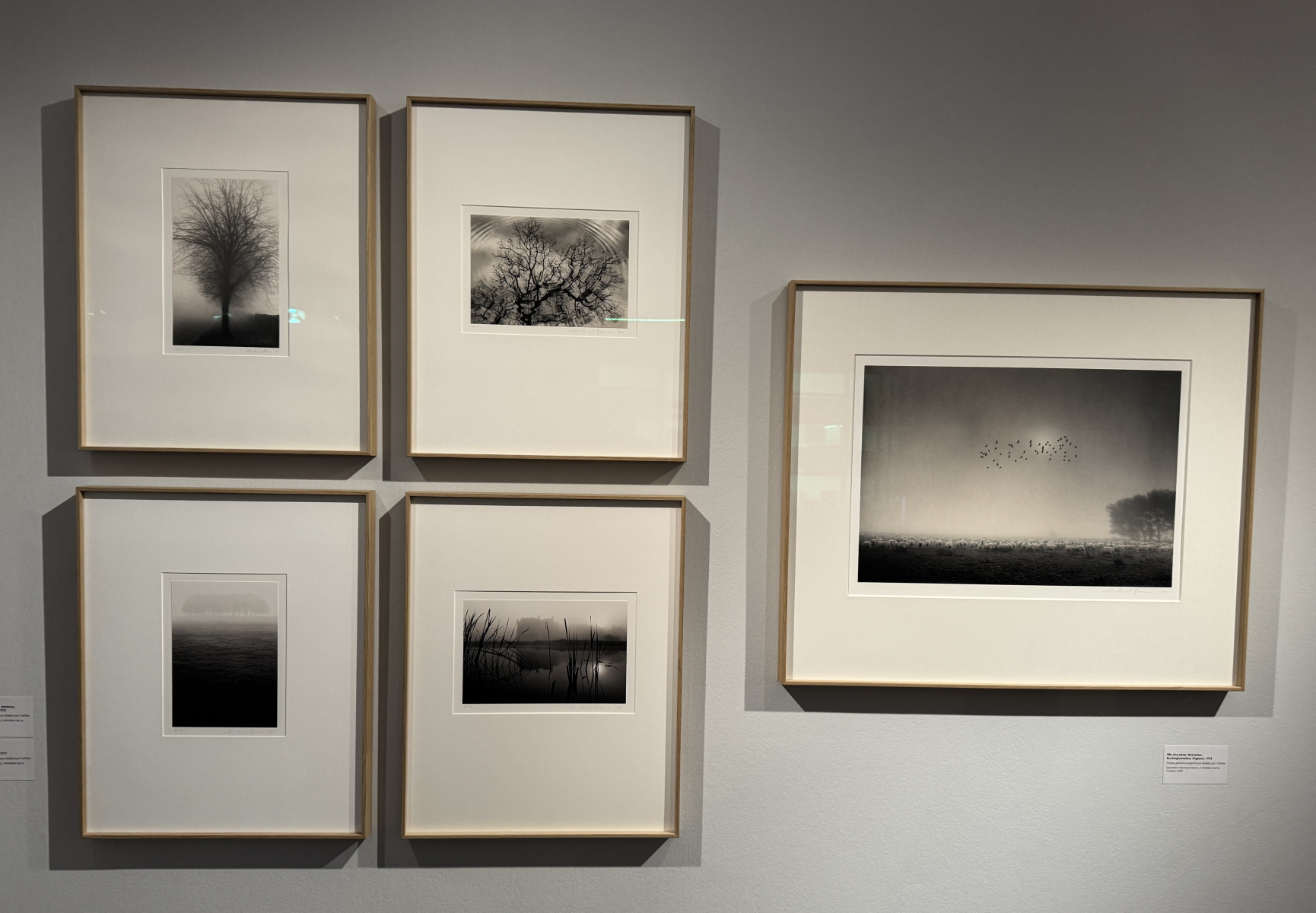 exposition photos