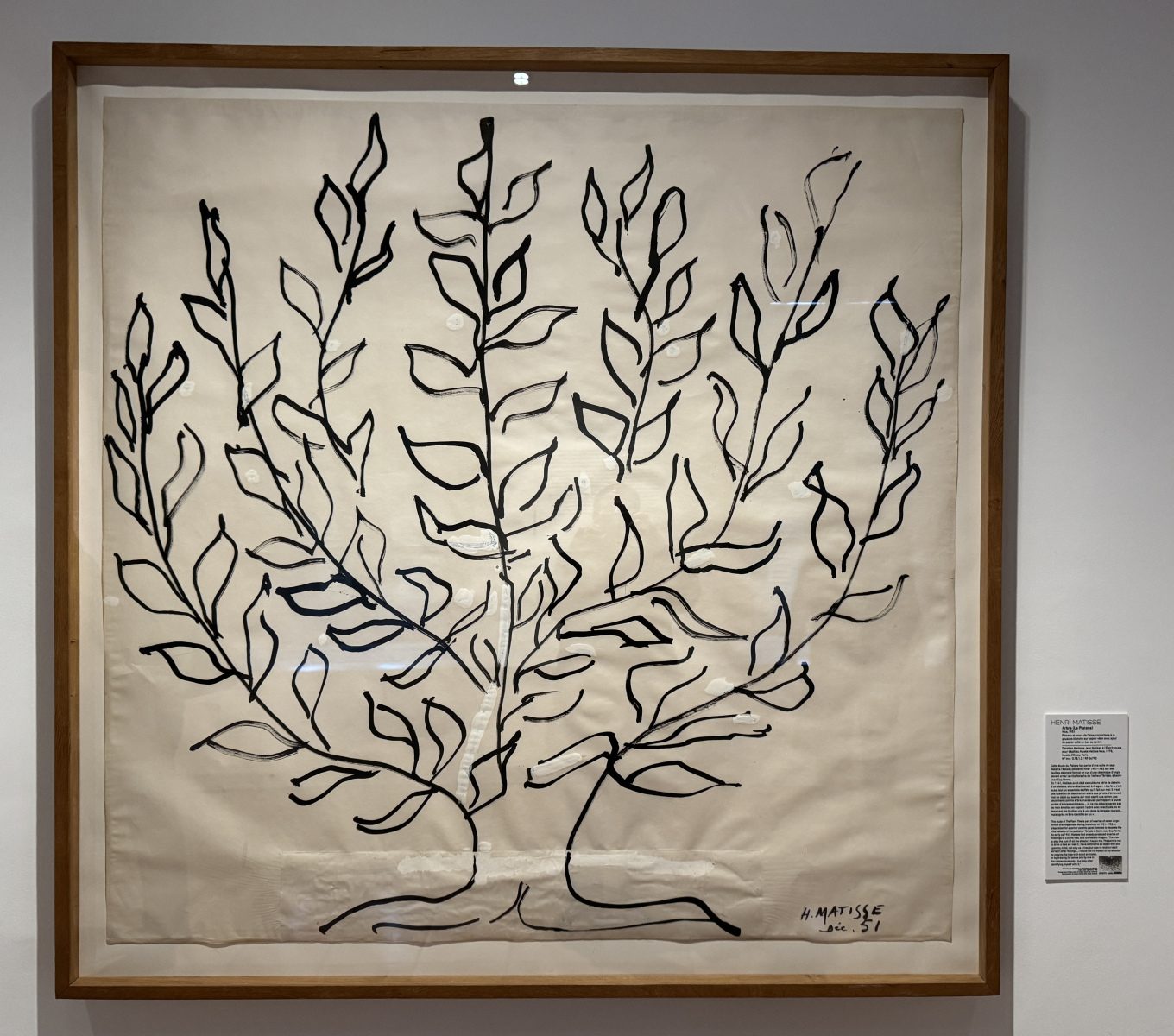 Visite de l'exposition 
