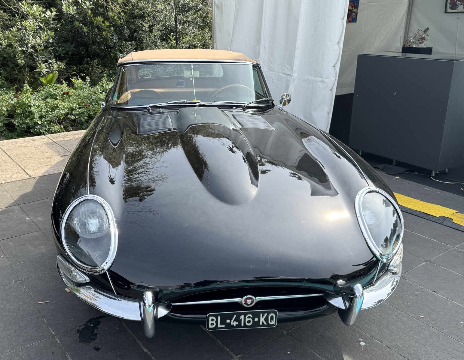 Visite de l'exposition « Les Légendes de Nice » au jardin Albert Ier