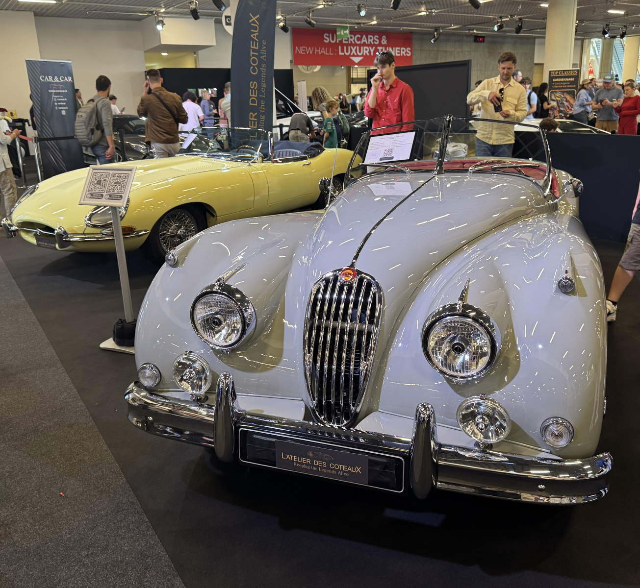 Visite du salon Top Marques 2026