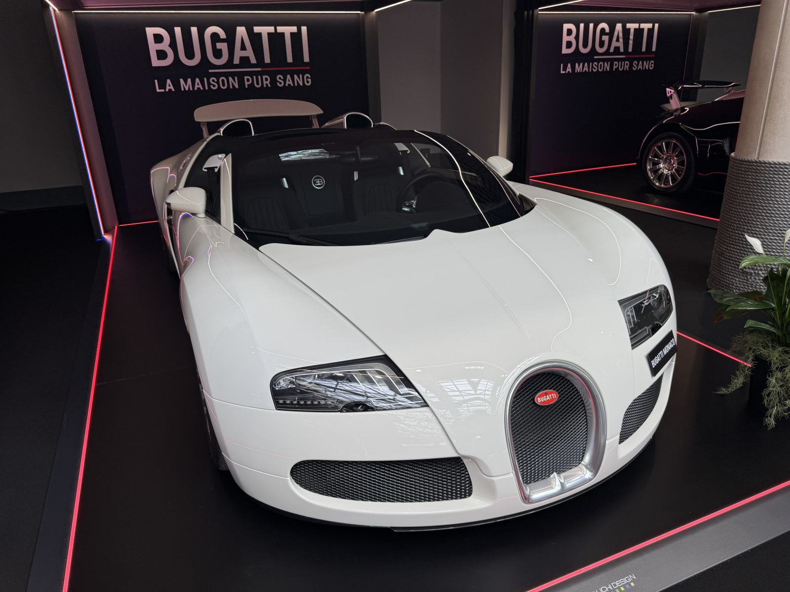Visite du salon Top Marques 2026